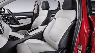 MG ZS EVInterior image