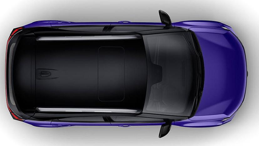Tata Nexon Dual Tone Roof