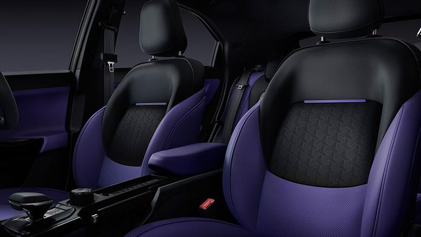 Tata Nexon Grand Floor Console with Leatherette Armrest