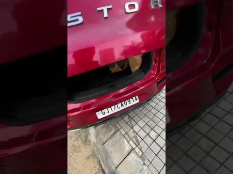 video from youtube